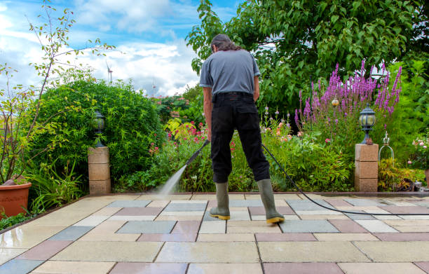 Best Commercial Pressure Washing in Homestead Meadows South, TX