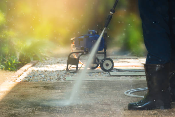 Best Fence Cleaning and Maintenance in Homestead Meadows South, TX